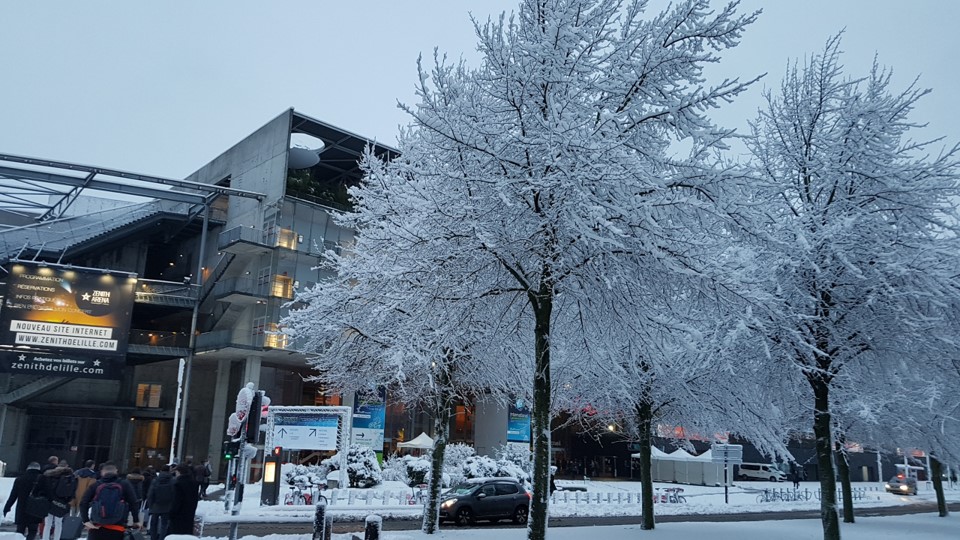 FIC 2019 : le grand palais sous la neige